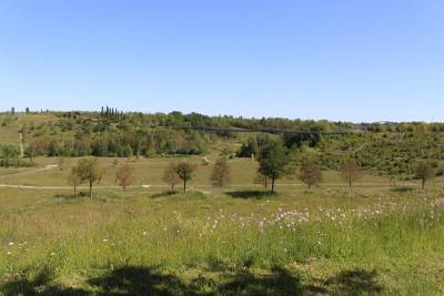Drachenschwanzbrücke
